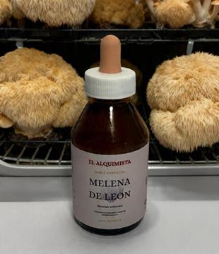 EL MELENA DE LEON