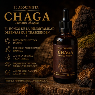 EL CHAGA 