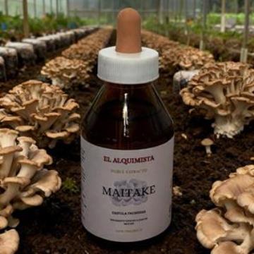 EL MAITAKE